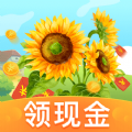 賺錢小花園