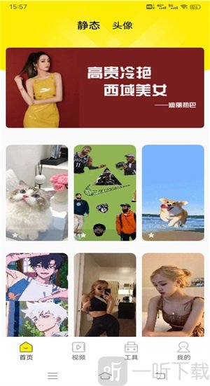 四季视频壁纸