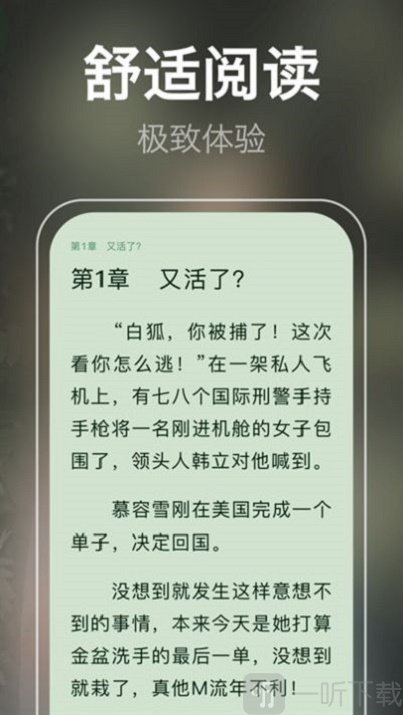 泉涩小说