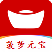 菠萝元宝