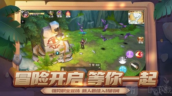 风雨森林