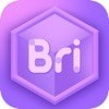 Bricube教師