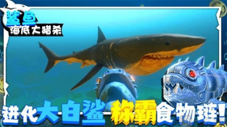 鲨鱼海底大猎杀