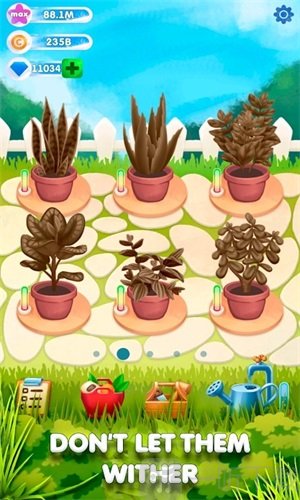 闲置植物花园