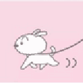 遛狗贷