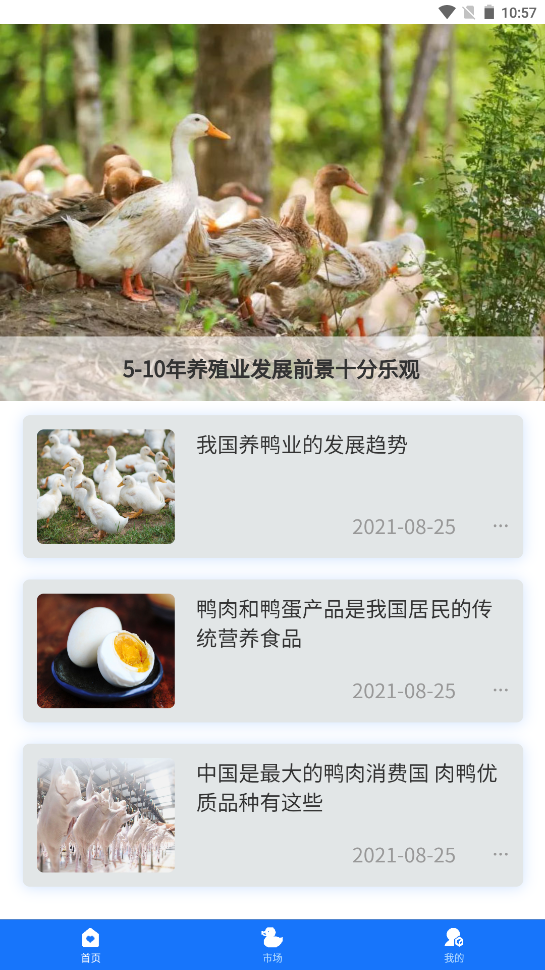 一起云养鸭