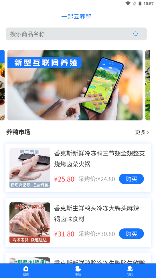 一起云养鸭