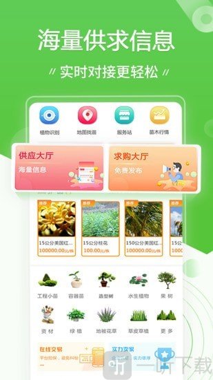 苗木通
