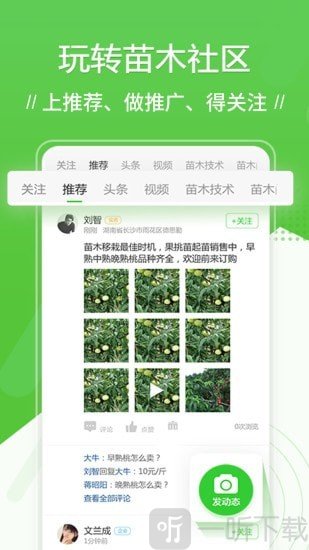 苗木通