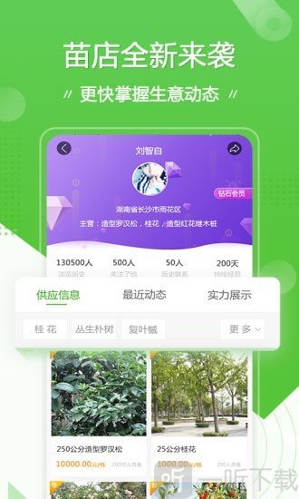 苗木通