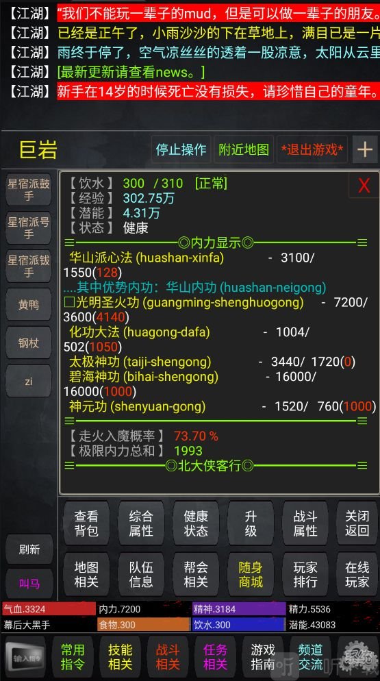 极武传