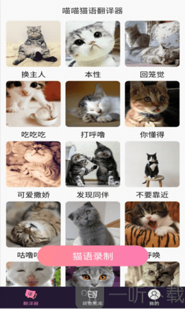 喵喵猫语翻译器