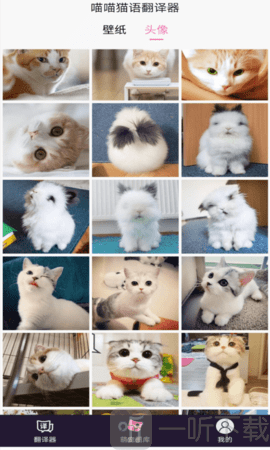 喵喵猫语翻译器