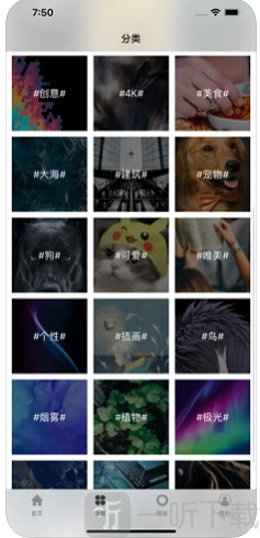 泰萌壁纸