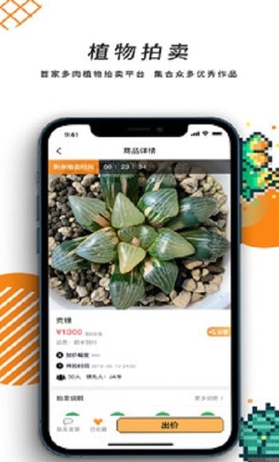 一植拍