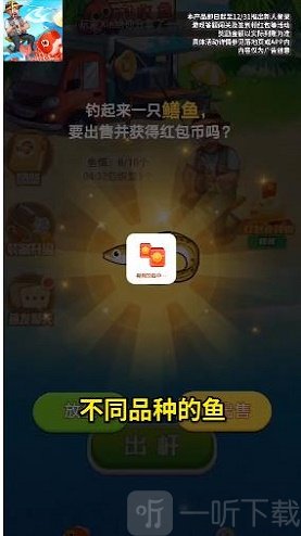好運錦鯉