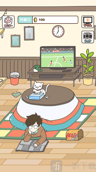 猫咪饲养日常