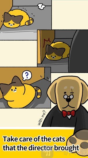 猫咪幼儿园