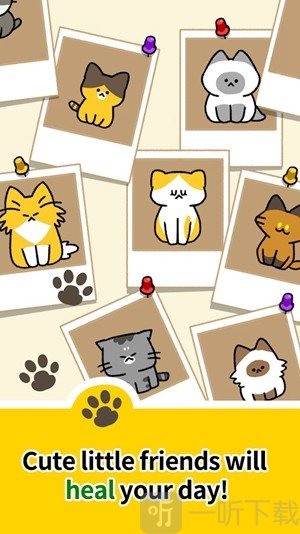 猫咪幼儿园