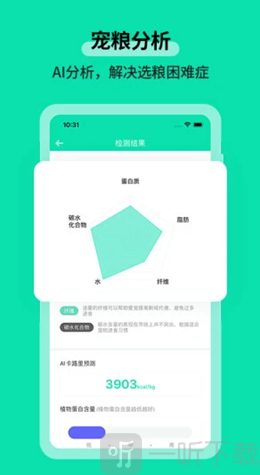 桔柒宠物