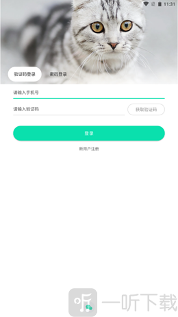 桔柒宠物