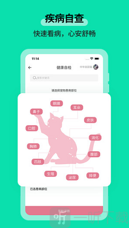 桔柒宠物