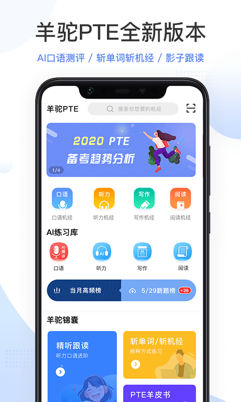 PTE羊駝