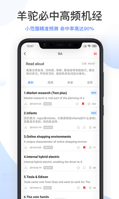 PTE羊駝