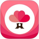 婚语app