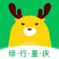 驭路碳碳