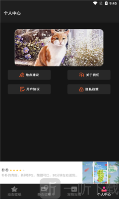 喵喵之家