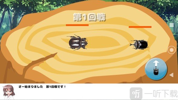 我和甲虫的暑假