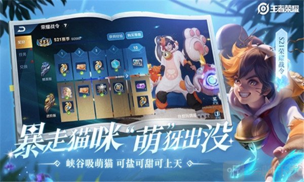 王者荣耀卡盟辅助