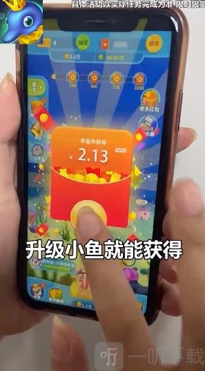 养鱼天天赚红包版