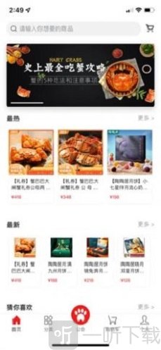 品品熊