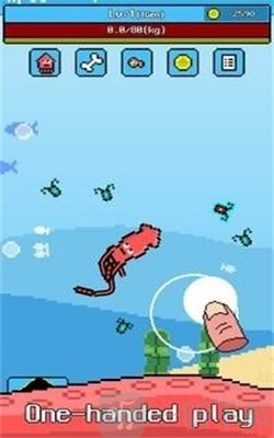 大王乌贼