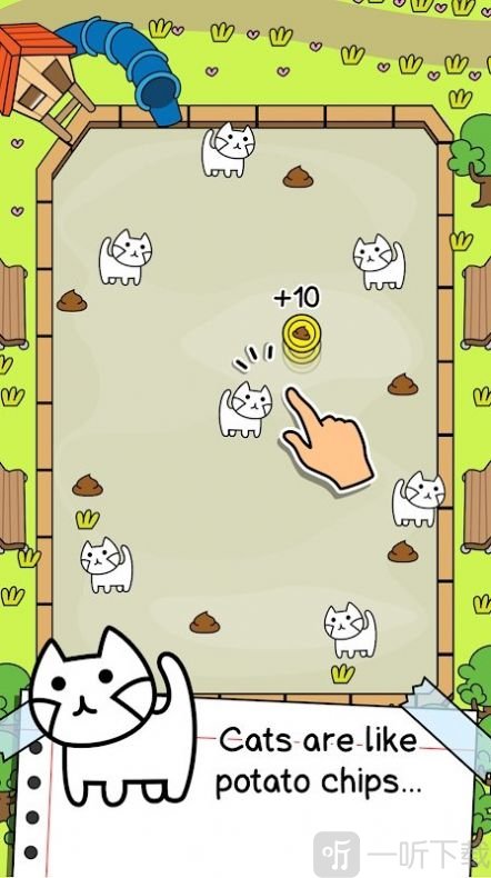 猫咪进化