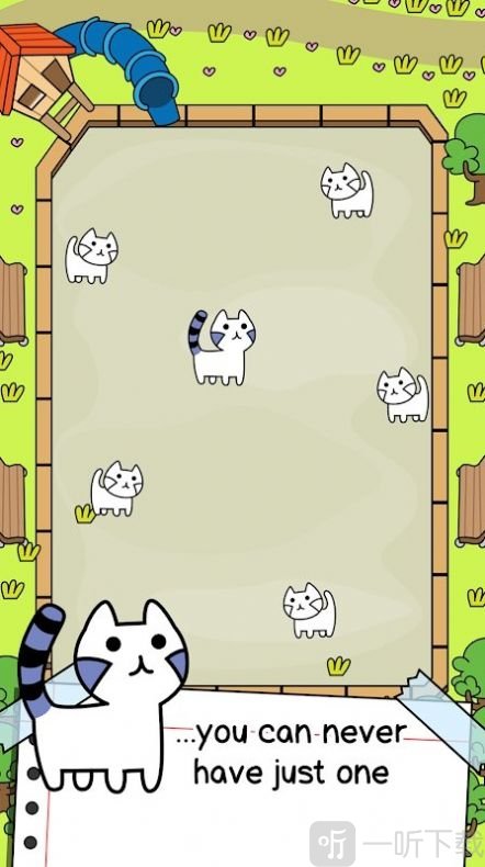 猫咪进化