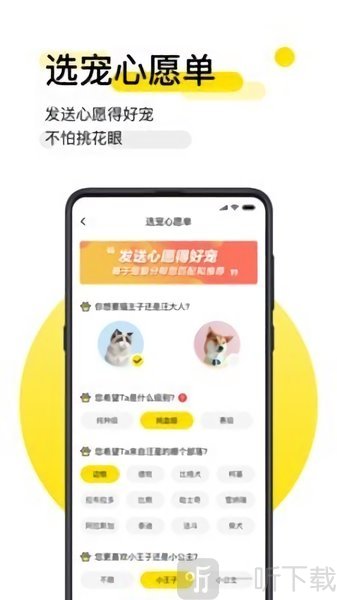 共宠