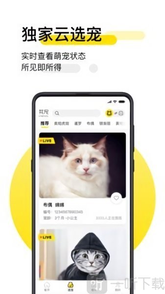 共宠