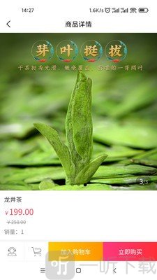 觅茶