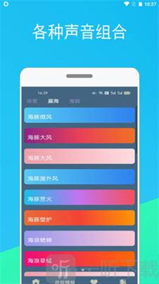 蚂蚁睡眠