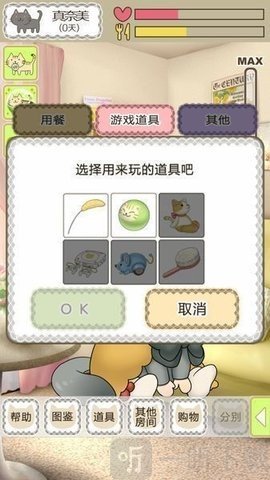 我家不可思议的猫咪