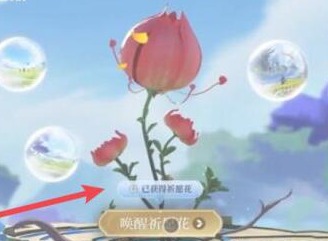 王者荣耀祈愿花怎么用 祈愿花获得方式及使用方法