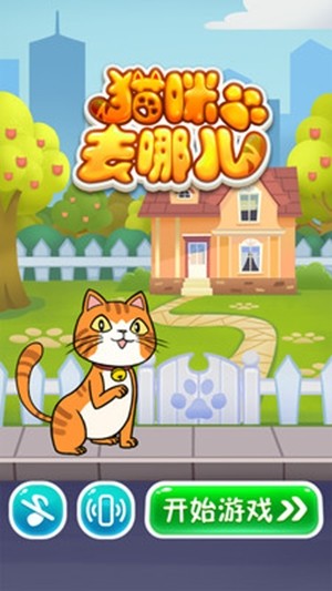 猫咪去哪儿