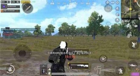 ds画质助手