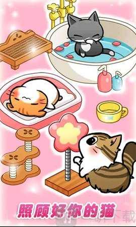 嗨皮猫