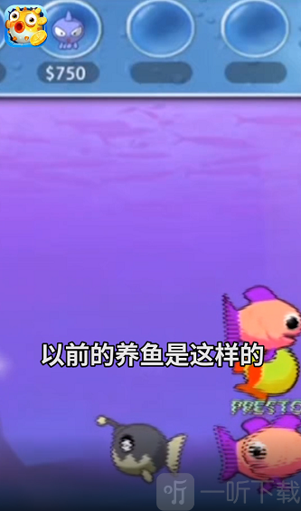 欢乐赚金鱼