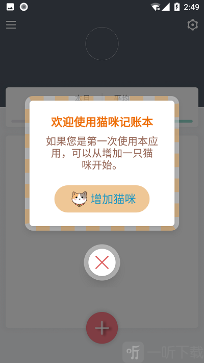 猫咪成长记