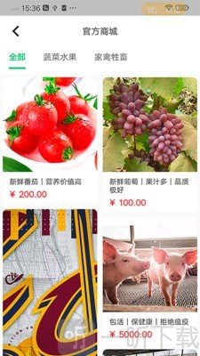 后院农场